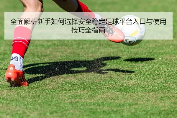 quan-mian-jie-xi-xin-shou-ru-he-xuan-ze-an-quan-wen-ding-zu-qiu-ping-tai-ru-kou-yu-shi-yong-ji-qiao-quan-zhi-nan-2-617.jpg