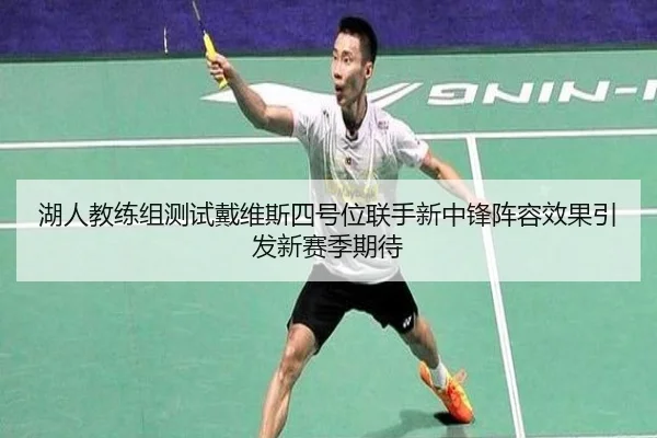 湖人教练组测试戴维斯四号位联手新中锋阵容效果引发新赛季期待